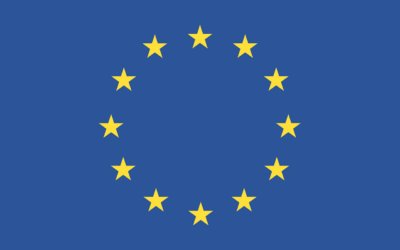 Europese Parlement keurt voorstel voor CSDDD goed